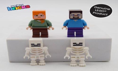 Lego®21169 The First Adventure