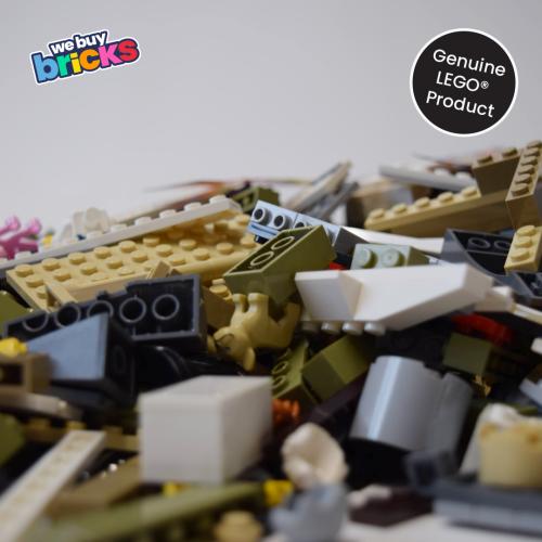 LEGO® 10326 Natural History Museum