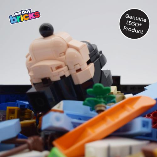 Lego®21352 Magic of Disney