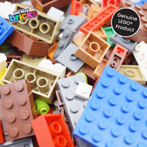 Lego®21129 The Mushroom Island