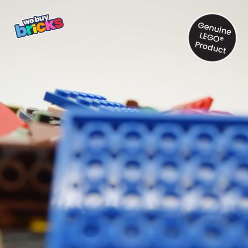 Lego®21129 The Mushroom Island