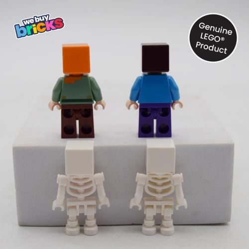 Lego®21169 The First Adventure