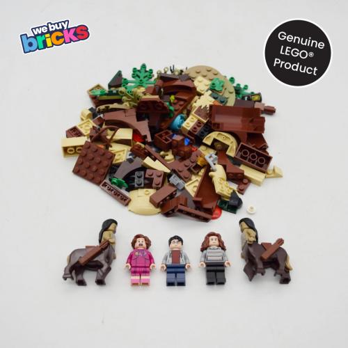 Lego®75967 Forbidden Forest: Umbridge's Encounter
