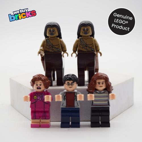 Lego®75967 Forbidden Forest: Umbridge's Encounter