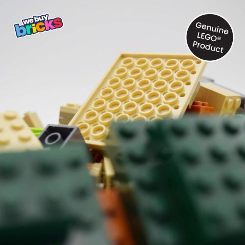 Lego®21160 The Illager Raid